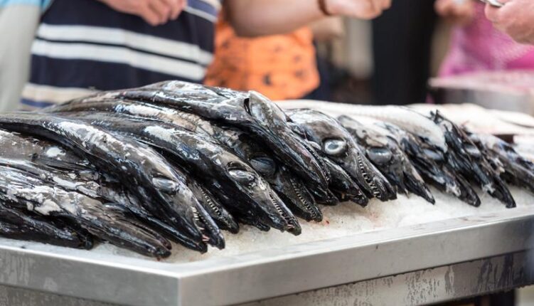 vis op een vismarkt in Portugal