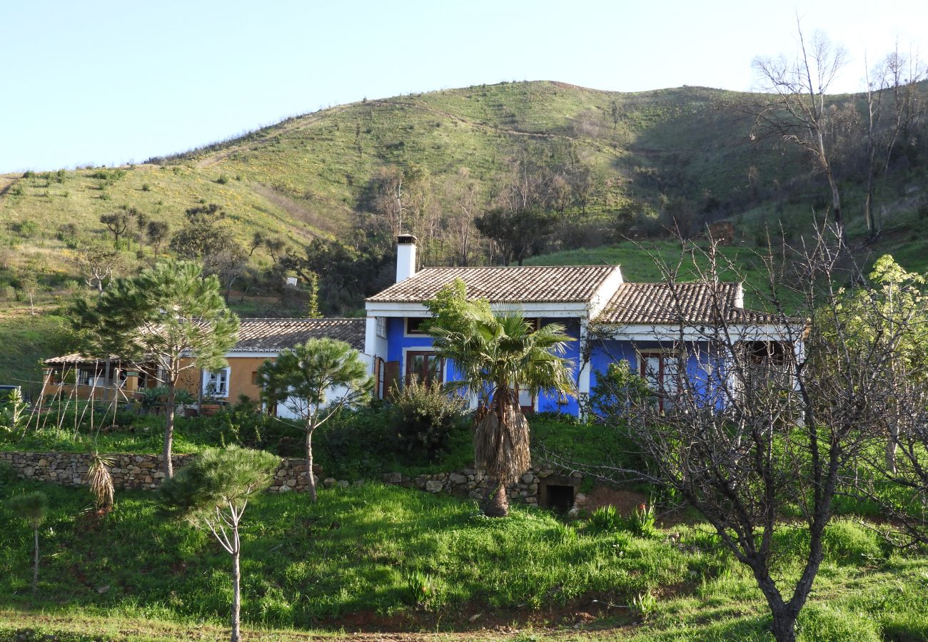 Villa in Monchique - Casa Andorinha
